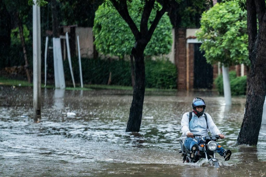 Flood Protection for Pets: 7 Proven Ways to Avoid Costly Hurricane Insurance Mistakes