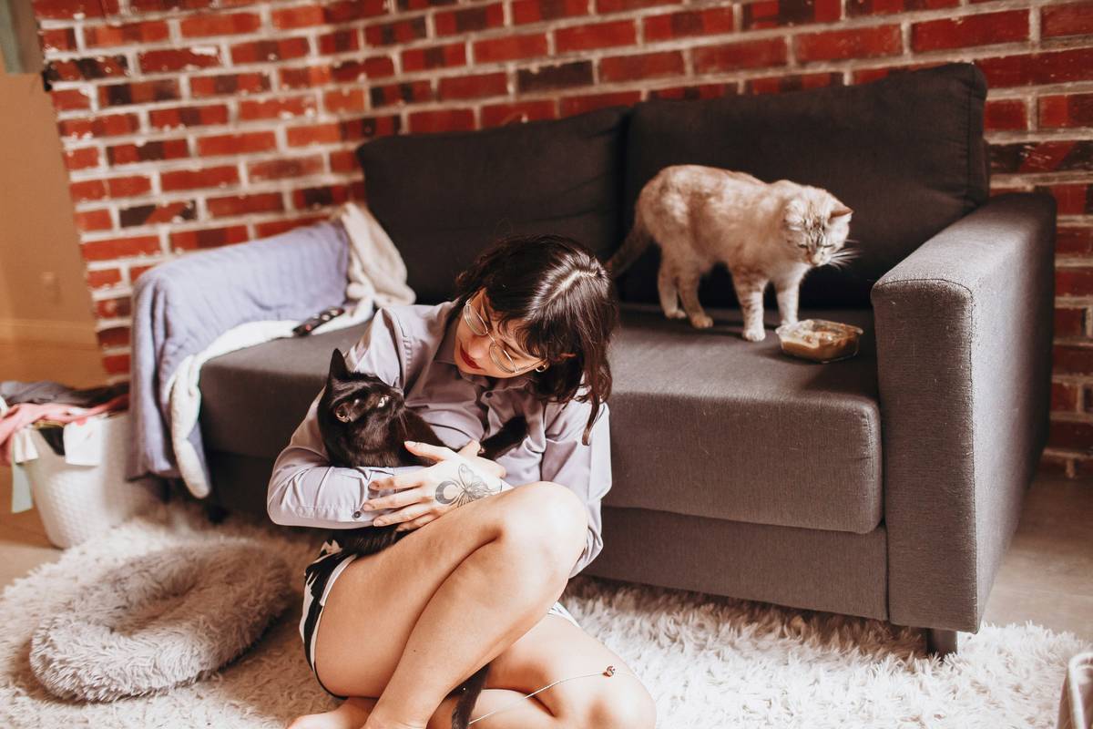 Emergency pet evacuation kit featuring Pet Calming Techniques essentials for hurricane readiness
