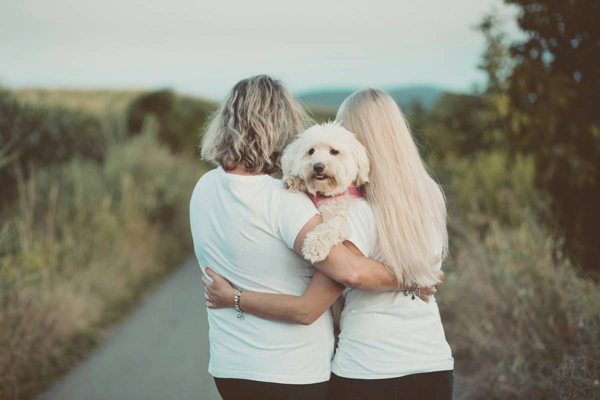 Post-Evacuation Care: 7 Proven Tips to Avoid Costly Pet Insurance Mistakes