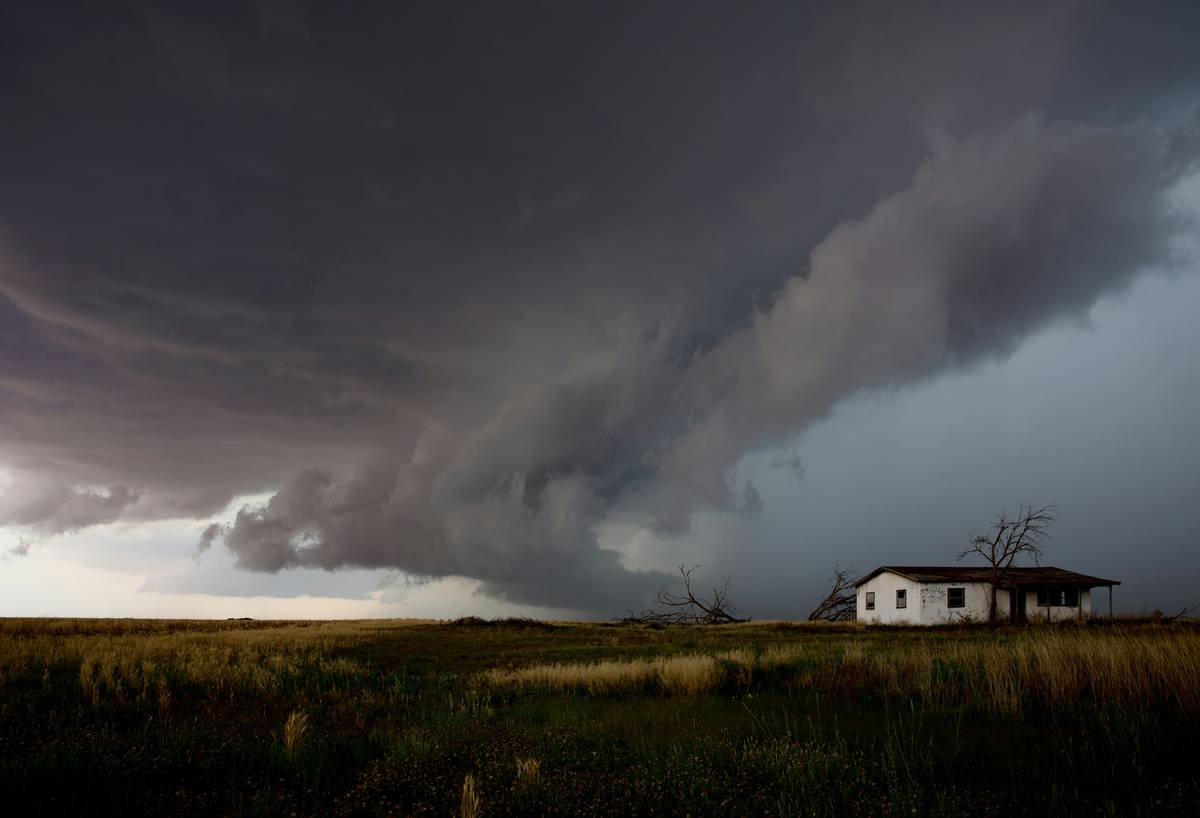 Storm Insurance Policies: 7 Proven Ways to Avoid a Painful Pet Coverage Mistake