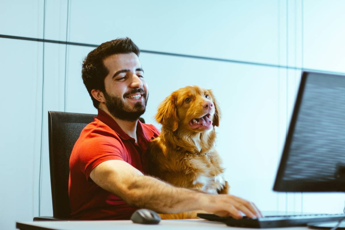 Add-On Coverage Options: 7 Essential Ways to Avoid Costly Hurricane Insurance Gaps for Pets