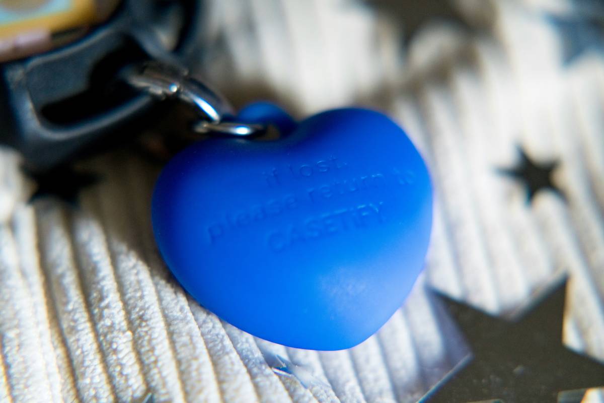 Pet Identification Tags: 7 Proven Ways to Avoid Heartbreaking Evacuation Mistakes
